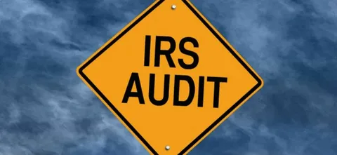 IRS audit