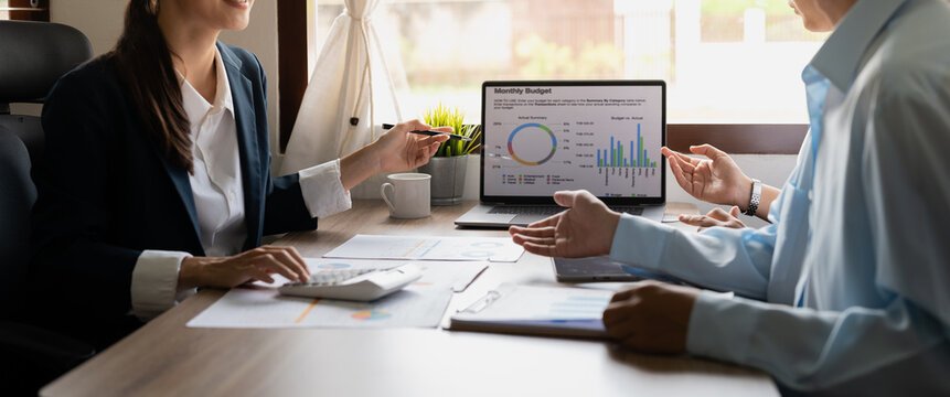 Professional Tax Advisor